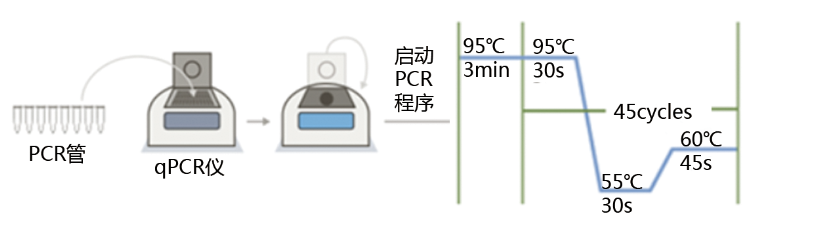 操作步驟4.5.png